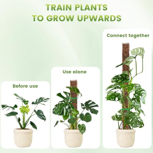 EOX Plastic Moss Pole for Monstera and Climbing Plants, 24-Inch, 2-Pack