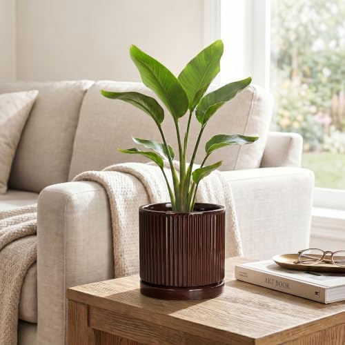 Ceramic Plant Pots, 6 Inch Pots for Plants, Round Planter, Brown