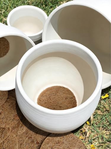 LE TAUCI Coconut Coir Drainage Pads, 2 Inch Round Liners for Pots, 20 Pack