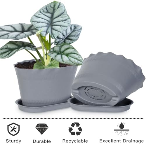 Oliz Herb Planter Pots 6 Pcs, Window Box Planter Flower Plants Pots for Succulent Cactus Flower with Trays, for Home Garden Kitchen Decor (Grey)
