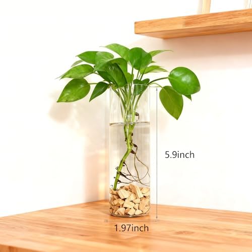 Wall Hanging Planter Propagation Station, Indoor Decor Glass Vases, 2 Pack