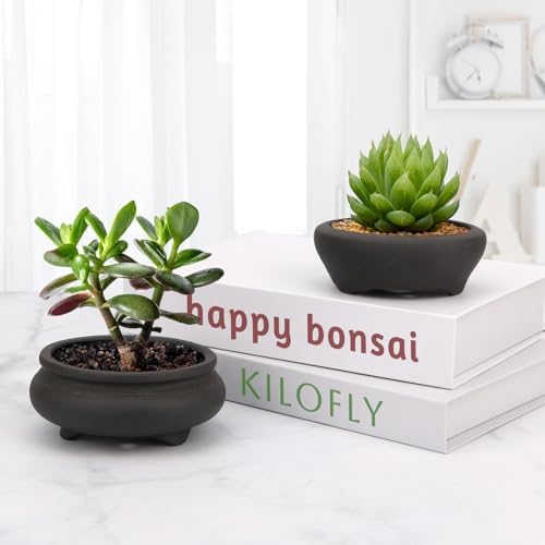 Bonsai Planter 2 pc 3.7" + 3.9" Unglazed Round Ceramic Succulent Pots Set