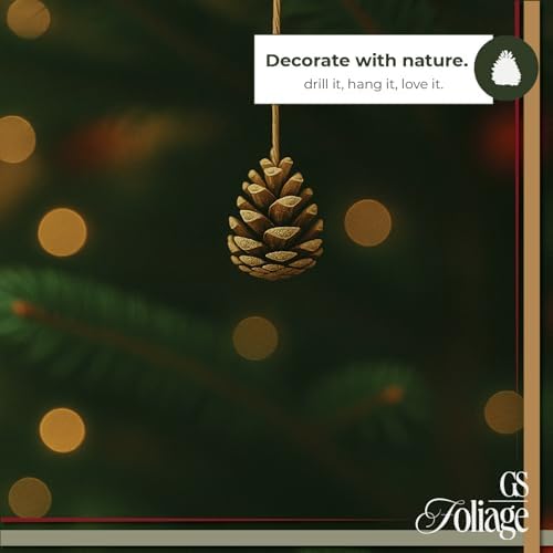 Natural Austriaca Pine Cones for Crafts - 2-3 Inch Real Pinecones for Christmas Decorating Ornaments, Holiday Decor Vase Filler - Rustic Woodland Dried Pine Cones - Set of 24 – Natural