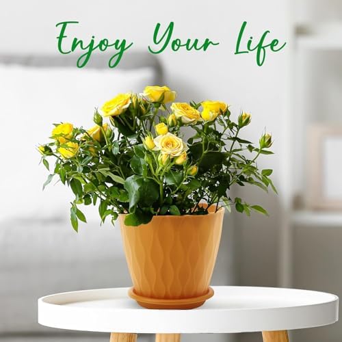 YNNICO 6 inch Plant Pots, 5 Pack Flower Pots Outdoor Indoor, Planters with Drainage Holes and Tray Saucers（Multicolor）