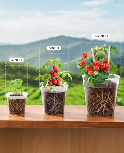 homenote 4/5/6.7 Inch Transparent Nursery Pots with Drainage Holes (30 Pcs)