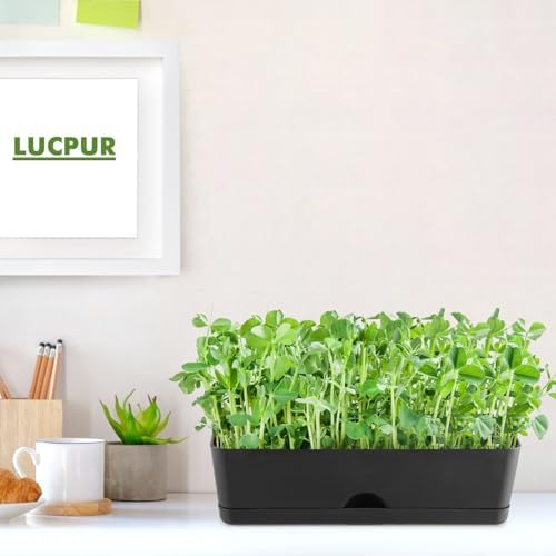 2-Pack Window Boxes Planters 16 Inch Rectangle Plant Box Rectangular Planters for Outdoor and Indoor Plants Plastic Windowsill Planter for Herbs Vegetable Flowers Long Window Sill Planters