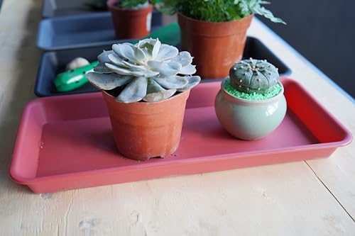 VUWEZ 6 Pack of Plastic Plant Tray Saucer Rectangular, Plant Trays Saucers for Indoors Outdoor, Plant Water Drip Tray for Flower Pot Planter, Windowsill Plant Tray (6.5 X 13 Inch, Terracotta)