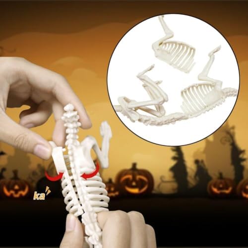 CAMIRUS 6Pack Animal Halloween Skeletons, Realistic Animal Skeleton