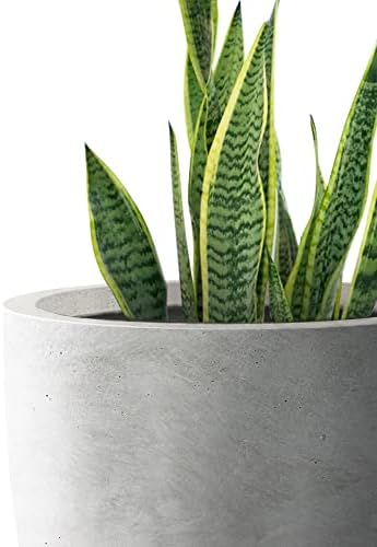 Kante Large Round Bowl Pale Gray Concrete Planter 18" Dia, Outdoor