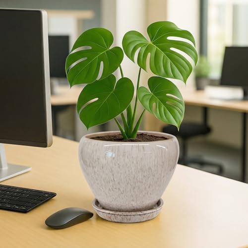 Deep Dream 8 Inch Plant Pots- Ceramic Pots for Plants with Drainage Hole and Saucer, Large Planter Pot for Indoor Plants Outdoor Decor, Beige