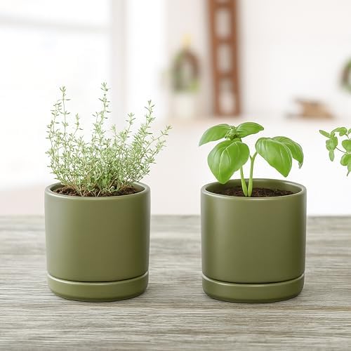 D'vine Dev 3.5 Inch Ceramic Planter Pot, Olive, 94-O-A-J