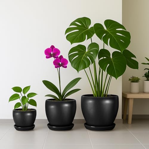 Deep Dream 8 Inch Plant Pot - Ceramic Pots for Plants with Drainage Hole and Trays, Modern Round Flower Pot, Planters for Indoor Outdoor Plants, Home Garden Decor, Black