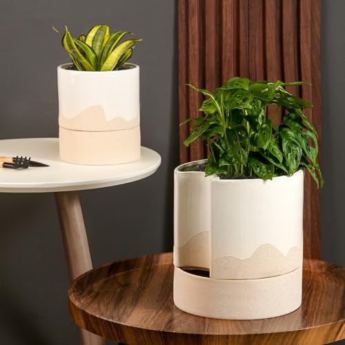Nihow Ceramic Self Watering Plant Pot for Indoor Plants,8 Inch,White & Wave