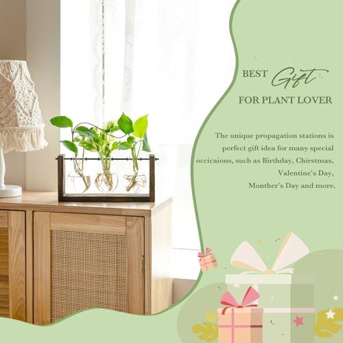 Mkono Plant Propagation Station Hanging Desktop Wooden Stand 3 Vases Holder