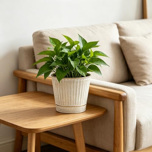 Hosley Metal Planters 7" Dia x 6" H Ideal Farmhouse Decor for Floral Arrangements Weddings, Gift Special Events Parties Outdoor Planters White wash
