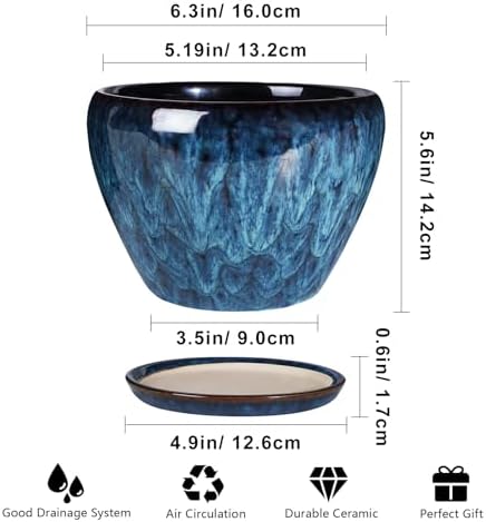 Ceramic Modern Glaze Succulent Planter Pot with Drainage Hole and Saucer 6 Inch Round Flower Plant Pot for Indoor Outdoor Herb Snake Plants