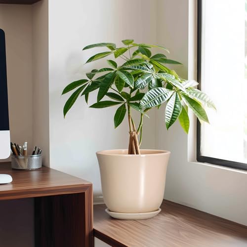 8 Inch Plant Pot, Ceramic Pots for Plants Indoor, Beige