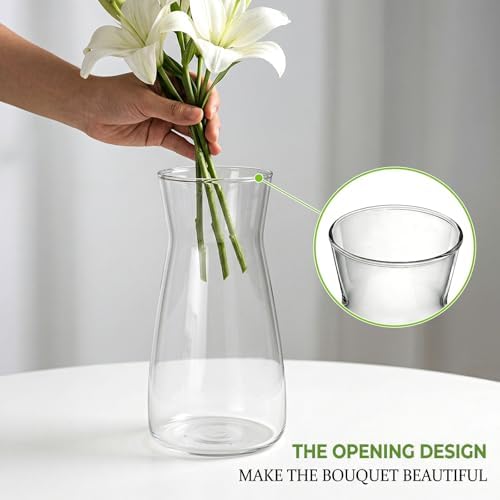 8 inch Glass Flower Vases for Flower 2 Pack,Clear Glass Vases