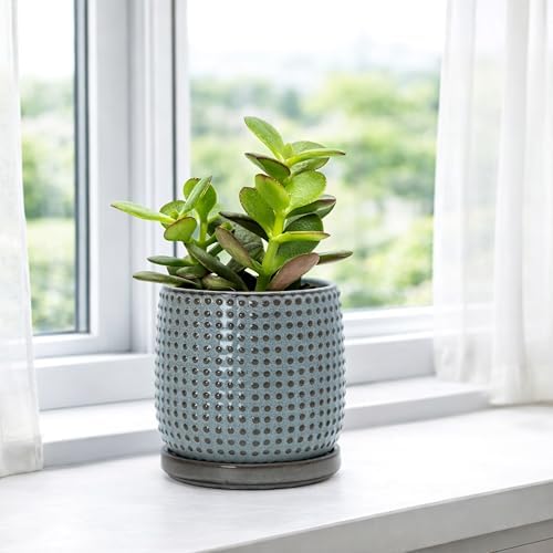 D'vine Dev Beaded Ceramic Pot with Saucer, 4 in, Graphite Blue, 27-C-Z-9