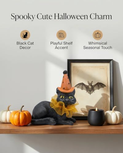 iStatue Halloween Decoration Indoor Resin Cat Witch Figurine (Black Cat)