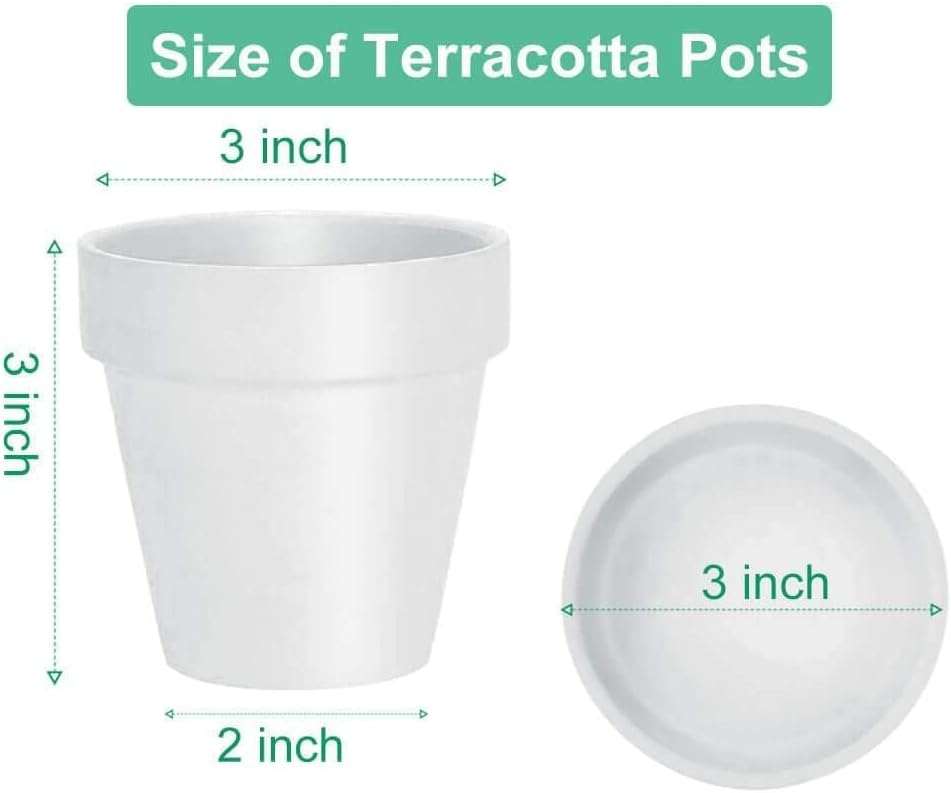 3 Inch White Terracotta & Clay Pots with Saucer, 12 Pack | Clay Flowerpot with Drainage, Nursery pot for succulents