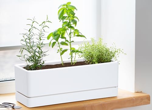 D'vine Dev 2-Pack Rectangular Planters, 12 x 4.5 in, White, 76-X-A-2