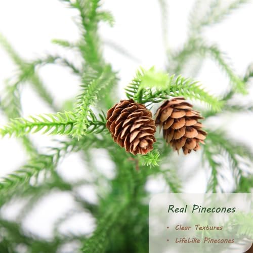 Bellacat 4ft UV Resistant Norfolk Pine Christmas Tree with Real Pinecones