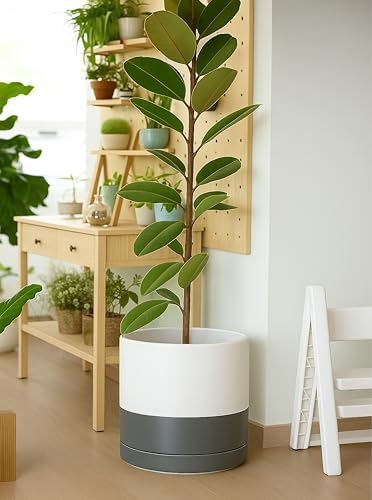 D'vine Dev 14 Inch Ceramic Planter Pot, White/Grey, 94-O-G-6