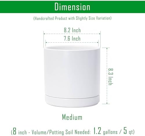 D'vine Dev 8.2 Inch Ceramic Planter Pot, White, 94-O-D-1