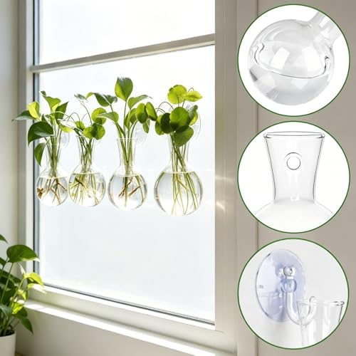 8 Pack Window Propagation Stations, Plastic Plant Terrarium Vases