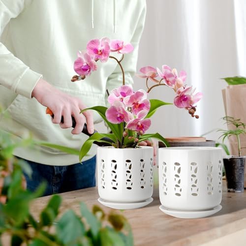 BUYMAX Ceramic Orchid Pots with Holes Orchid Root Care Set of 2 Flower Pot