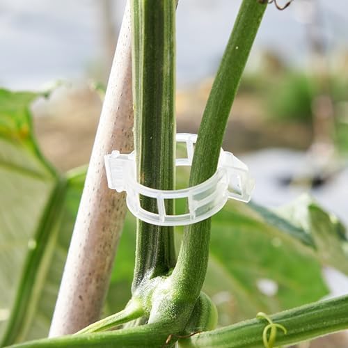 CIQIYO® 200 Pcs Plant Support Clips,Plastic Clips for Securing Plants,Tomato Vine Clips,Plant Fixing Clips,Garden Clips for Climbing Plants,Grape and Vine Vegetables (200, White)