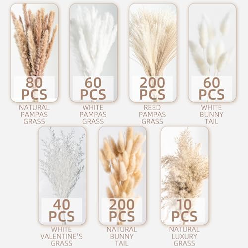 650PCS Natural Dried Pampas Grass Boho Home Decor Bouquet Phragmites Dried Flowers Bouquet for Wedding Floral Arrangements Home Decorations (650PCS)