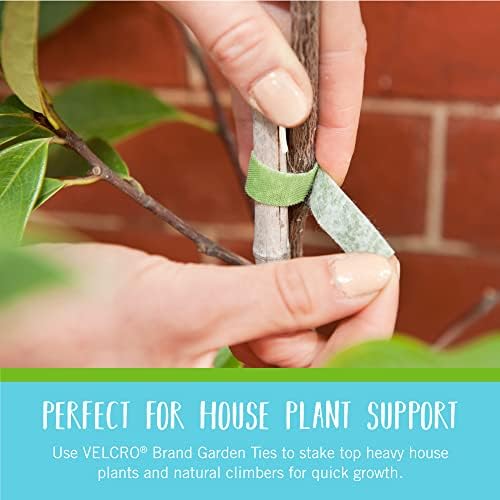 VELCRO Brand ONE-WRAP Garden Ties, for Plant Support, 50 Ft x 1/2 in