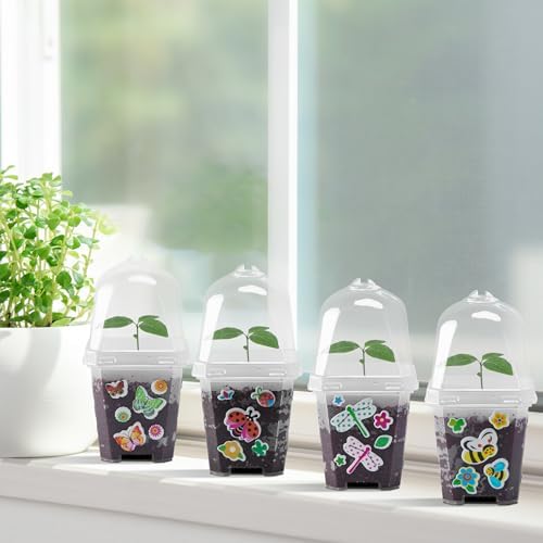 EBaokuup 10 Pack 3 Inch Clear Plant Nursery Pots with Humidity Domes