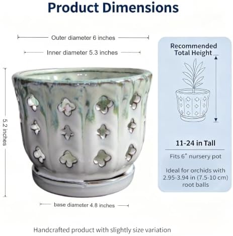 Orchid Pot with Drainage, Cream & Green, 6 Inch