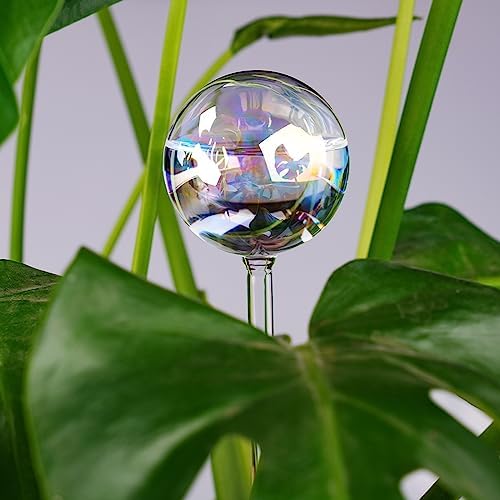 Tomorotec 4Pcs Rainbow Glass Plant Watering Globes, Self Watering Spikes