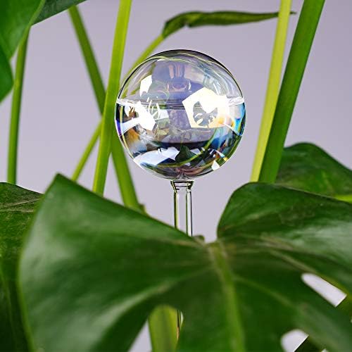 Tomorotec 2Pcs Rainbow Glass Plant Watering Globes, Self Watering Spikes