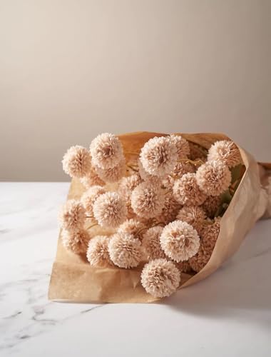 Laelfe Artificial Pompon Mum, 5Pcs Fake Kiku Flowers Silk Small Mini Chrysanthemum Ball Faux Mum Decor for Vase Filler DIY Bouquet Centerpieces Arrangements Shower(Beige)