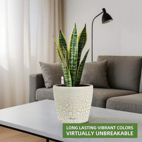 Dexceder 11x10 Self Watering Planter (White Gold Crackle)