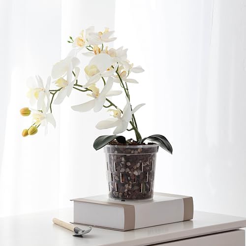 TRUEDAYS Orchid Pot, 6 Pack 6 Inch Plant Pot with Drainage