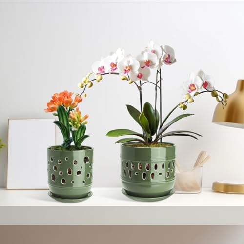 Orchid Pots with Holes, 5+6in Ceramic Orchid Planter 2 Pack