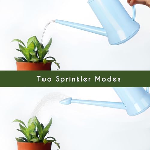 XXXFLOWER 1/2 Gallon Indoor Plant Watering Can Blue 67oz