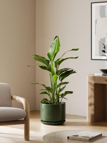LE TAUCI 12 Inch Pots for Plants, Ceramic Planter with Saucer, Forest Green