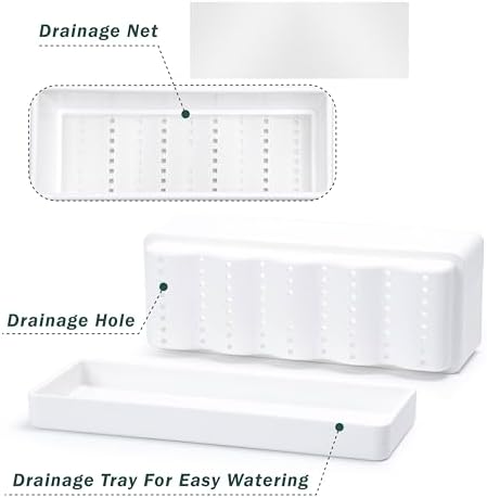 D'vine Dev Rectangular Planter, 12 x 4.5 in, White, Set of 1, 76-X-A-1