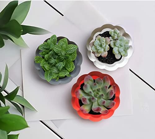 Set of 3 Ceramic Miniature Pumpkin Succulent Pots with Drainage Hole3x4x2.3