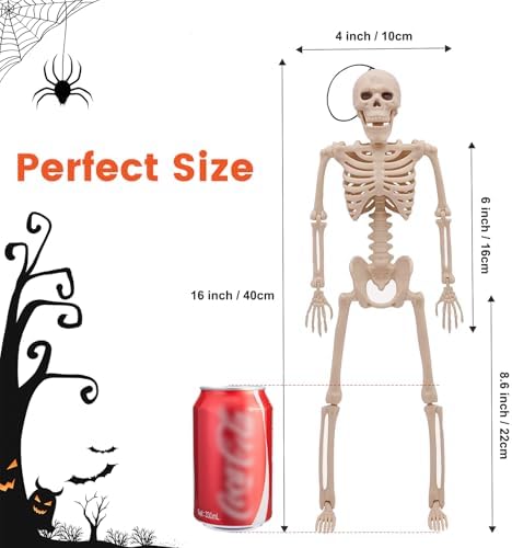 16" Poseable Small Skeleton for Halloween: Sturdy Joints Hold Pose Firmly