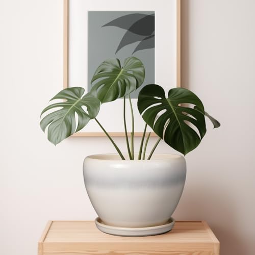 Ceramicfor 10 Inch Ceramic Planter Pot, Cream White