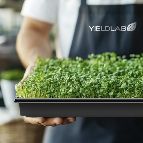 10x20 Inch Black Plastic 100 Pack Plant Propagation Tray No Holes