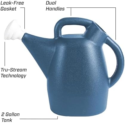 CHAPIN 48010 2-Gallon Watering Can, Drip-Free Spout for Clean Pour